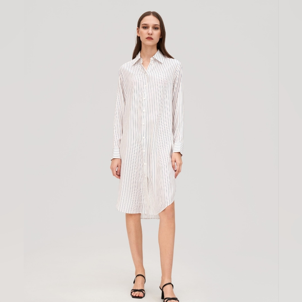 Pin Stripe Silk Shirt Dress